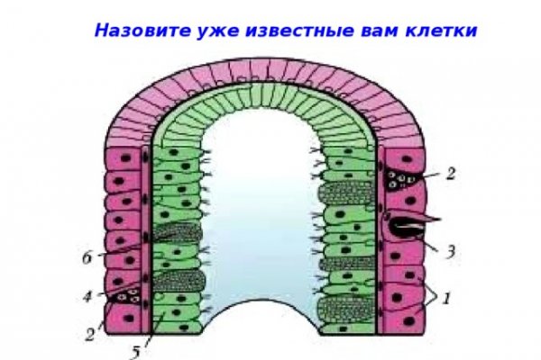 Кракен маркетплейс вход